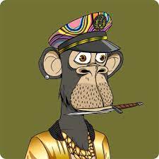 Placeholder for Ape #27